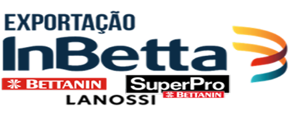 Exportação